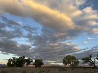 IMG_4820.jpeg