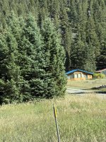IMG_0010.jpeg