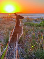 IMG_5223.jpeg