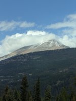 IMG_0040.jpeg