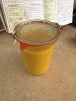 IMG_0051.jpeg
