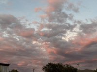 IMG_4881.jpeg