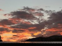 IMG_4885.jpeg