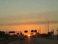 IMG_0907.jpeg