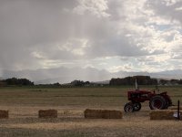 IMG_0134.jpeg