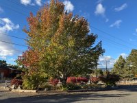 IMG_4932.jpeg