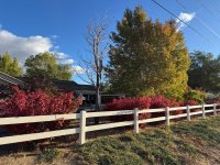 IMG_4935.jpeg