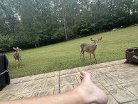 IMG_1106.jpeg