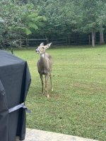 IMG_1114.jpeg