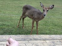 IMG_1116.jpeg