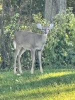IMG_7660.jpeg
