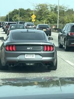 IMG_8516.jpeg