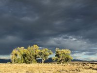 IMG_4959.jpeg