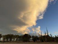 IMG_4968.jpeg