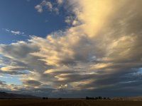 IMG_4973.jpeg