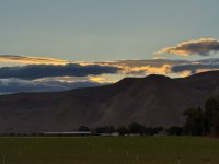 IMG_4969.jpeg