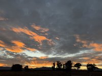 IMG_4977.jpeg