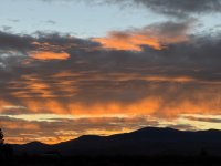 IMG_4978.jpeg