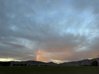 IMG_4981.jpeg