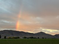 IMG_4983.jpeg