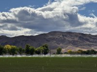 IMG_4994.jpeg