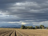 IMG_5003.jpeg