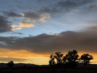 IMG_5008.jpeg