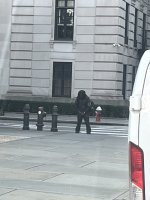IMG_8521.jpeg