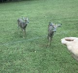IMG_1120.jpeg