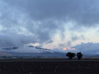 IMG_5030.jpeg