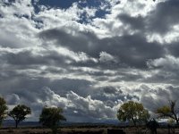 IMG_5035.jpeg