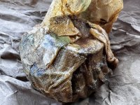 IMG_2939.jpeg