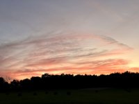 IMG_0983.jpeg