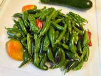IMG_3522.jpeg