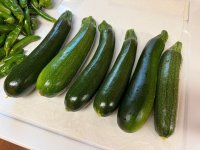 IMG_3521.jpeg