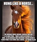 IMG_3119.jpeg