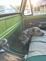 IMG_2047.jpeg