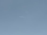 IMG_9342.jpeg