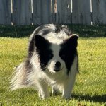 IMG_5097.jpeg