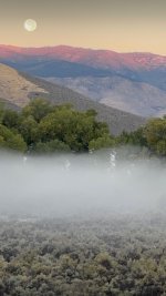 IMG_5735.jpeg