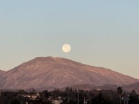 IMG_9349.jpeg