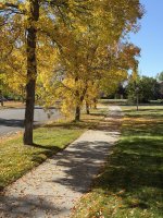 IMG_0294.jpeg