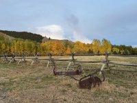 IMG_0342.jpeg