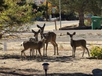 IMG_5124.jpeg