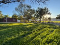 IMG_5164.jpeg