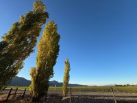 IMG_5168.jpeg