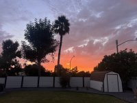 IMG_5535.jpeg