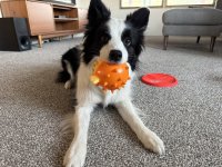 IMG_5208.jpeg