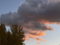 IMG_5220.jpeg