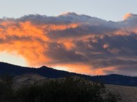 IMG_5222.jpeg